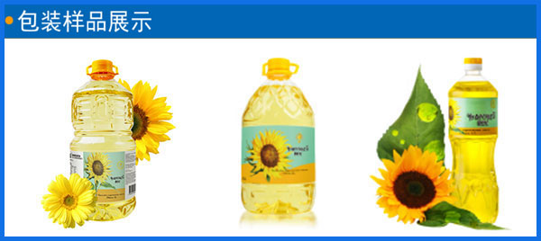 全自動葵花油加工設備